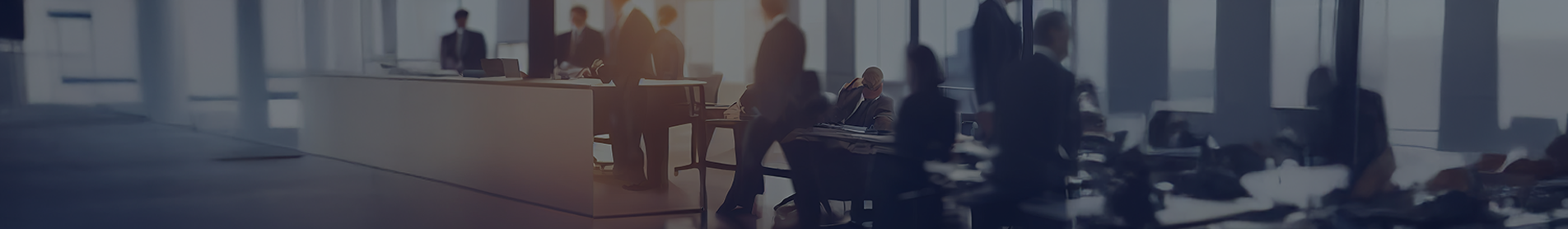 Profesyonel Eğitim Programları